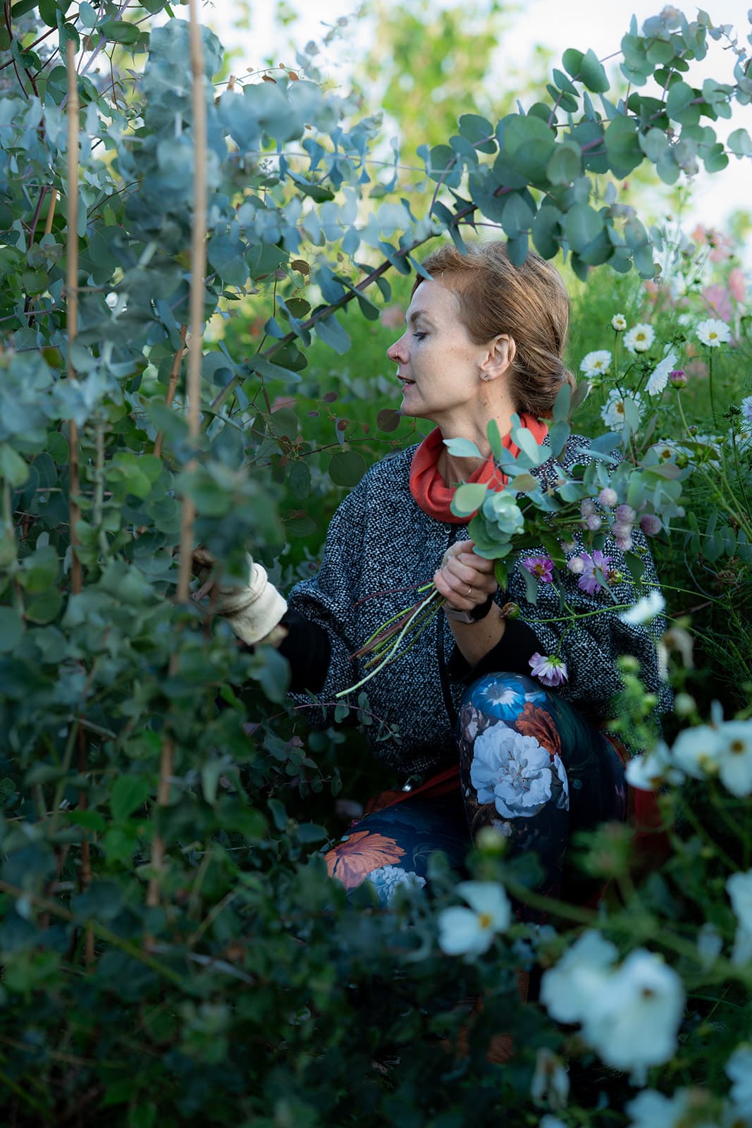 Květinová farma Kytky za humny, fotka 28