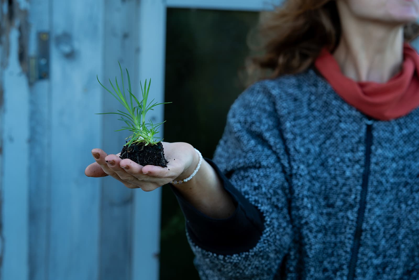Květinová farma Kytky za humny, fotka 31